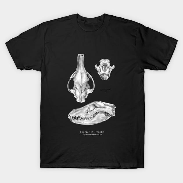 Tasmanian Tiger (Thylacine) Skull T-Shirt by Pip Tacla